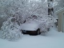 Winter 2012
