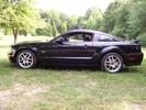 Dad's Stang
