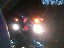photo 3 (4)