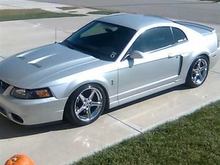 My Kenne bell'd 03 Cobra