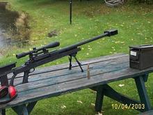 .50 cal bolt action, sighted to 800 yrds.