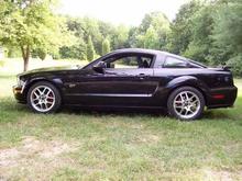 Dad's Stang