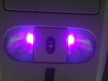 black light in the maplights...daylight picture