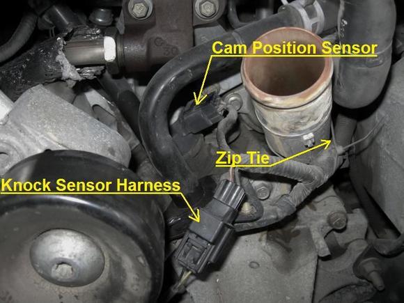 Timing Cover Gasket 11