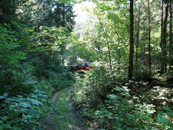 Try to find the truck. Yes it's in the picture.