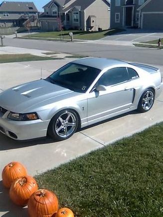 My Kenne bell'd 03 Cobra