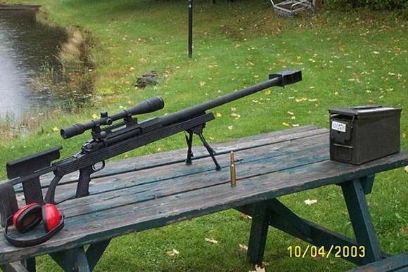.50 cal bolt action, sighted to 800 yrds.