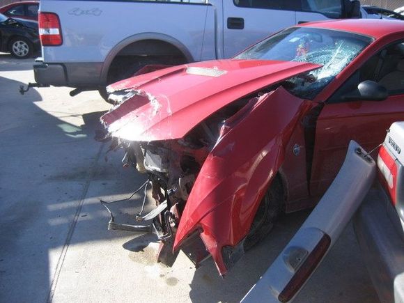 The Mustang lost