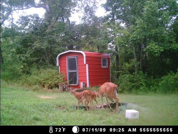 deer cam 130
