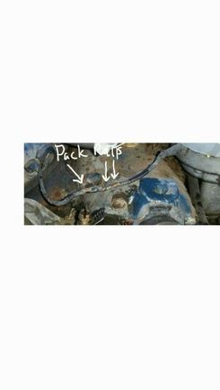 DISTRIBUTOR PACK RATS