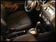 Fireflyintpic