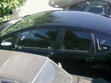 PIC 0567