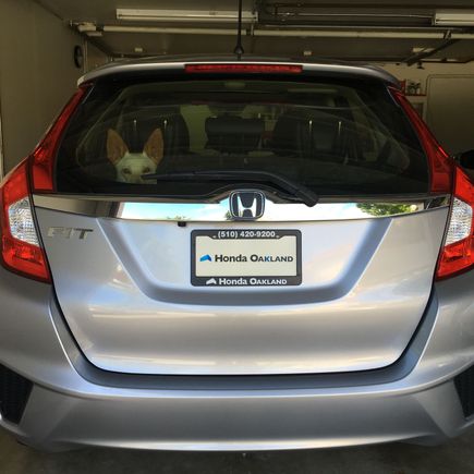 There's Alisa, the sole reason I got the car