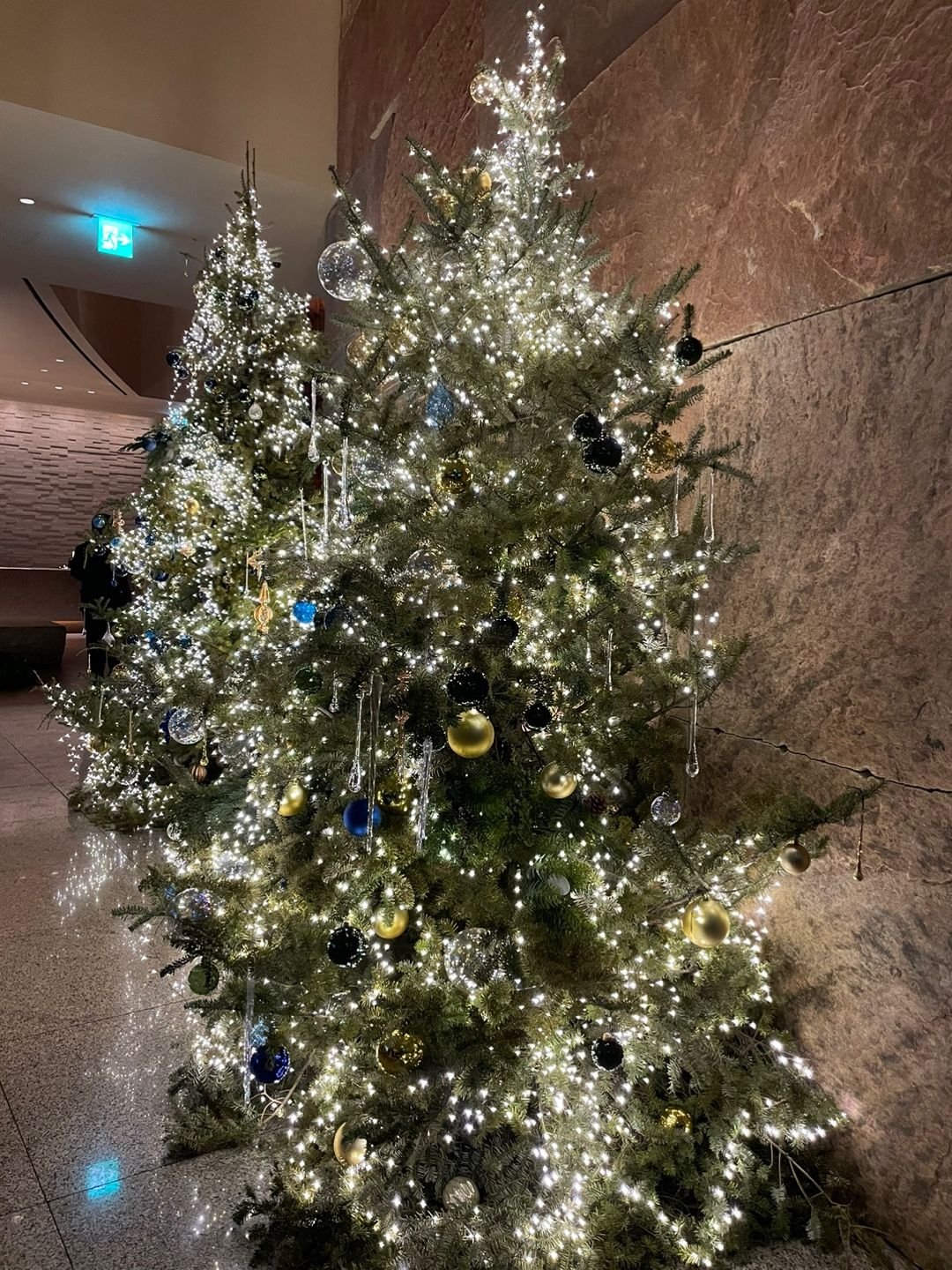 Post your Hyatt Christmas tree FlyerTalk Forums