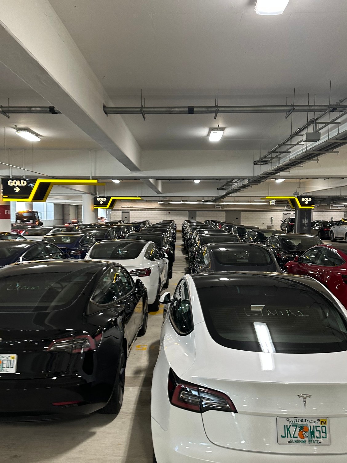 Intermediate Electric Elite Discount innoem.eng.psu.ac.th