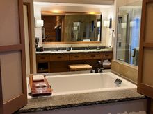 Suite Bathtub