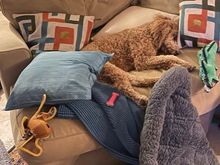 She really has all she needs in the area of the family room we now refer to as “Poppy’s Lounge!” ;)