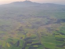 Beautiful green fields