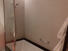 Combined Bath/shower