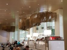 Area around the bar.