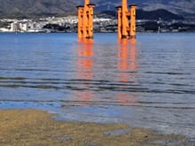 The Itsukushima shrine at Miyajima island taken from the beach at 1020  ( tide coming in)