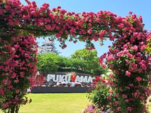 Fukuyana rose festival promotion just outside jr station with caste in background