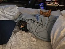 I was surprised this morning.