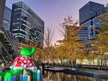 North exit of Osaka station. The bear has its christmas cape on. The Waldorf Astoria is the tall building to the right with the Canopy hotel behind me close by. The trees have  lights attached on them and were switched on at 1700