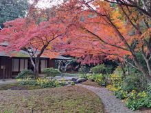 Tea ceremony tea house