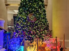 Christmas tree in lobby of Hilton Tokyo Odaiba