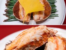 Female Snow Crab