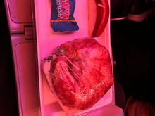 Sorry for the orientation. Currently in flight JFK-KEF in Y and this was the meal. Some sort of chicken sandwich or a cheese plate. I’m not picky so I still ate it all, but man this was bad…thank god there were *two* slices of apple to make up for it…my fiancé got the cheese plate which looked (and tasted) way better. I knew it was a short flight but I guess I was expecting a hot meal. Oh well hahaha 