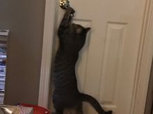 Fred being Fred.