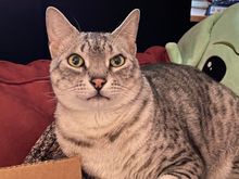 My coworker today would prefer it if I turned up the temperature outside.