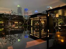 Garden outside the lobby area