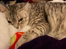 Can’t a guy just get some alone time.