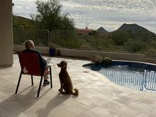 Our friend reading The Night Before Christmas to Poppy