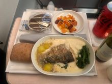 Premium Economy Dinner, carrott hummus, rainbow trout with mash and chocolate cake