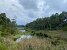 Running trail scenery
