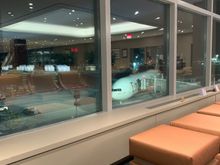 The beautiful bird (1.5 years old) from the lounge. At right is the jetway with direct lounge to plan access.