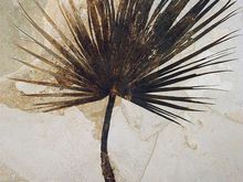 Arctic Palm