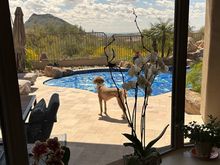 Paraphrasing Barbara Walters,  taking a little time to enjoy the view. 