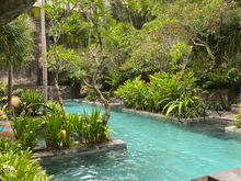 Secret garden pool 