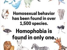 John Fugelsang points this out quite a bit