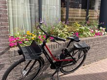 Bikes