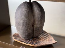 Coco de Mer ;)