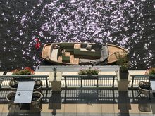 Using aquatic transport to the hotel is easy if traffic is bad