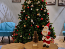 I appreciate the initiative, but a Yule tree is all I can contribute. (The room rate was only 66 euros, trains were running outside my window.)