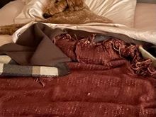 Someone’s been sleeping in my bed!