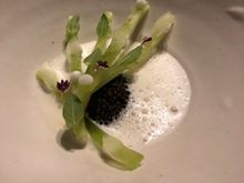 Lettuce root with caviar
